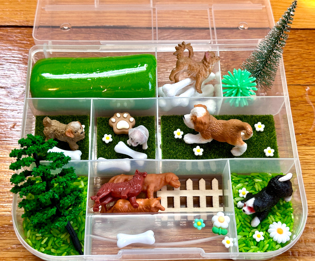 Dog Park Playdough Sensory Kit