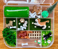 Dog Park Playdough Sensory Kit