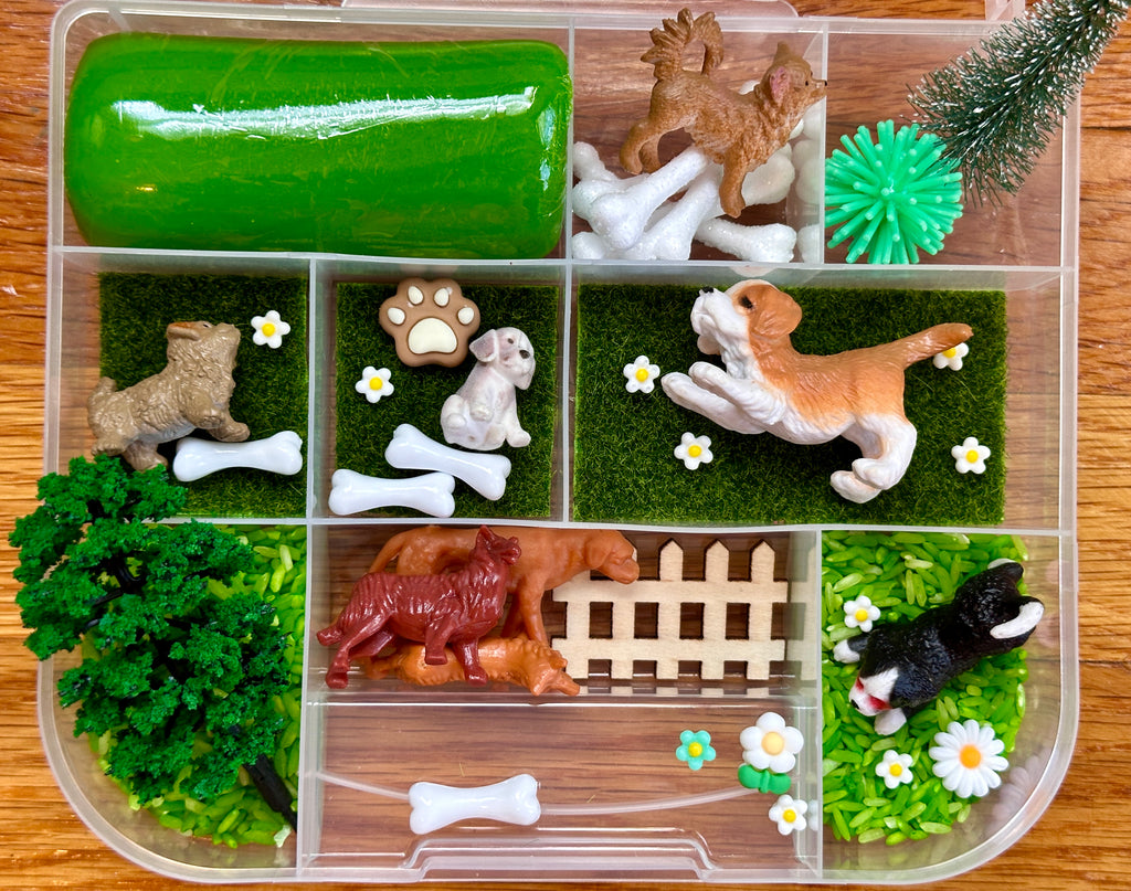 Dog Park Playdough Sensory Kit
