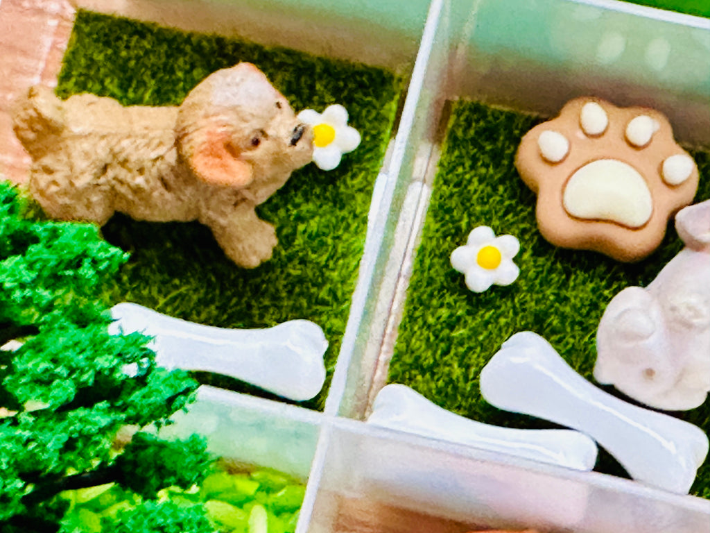 Dog Park Playdough Sensory Kit