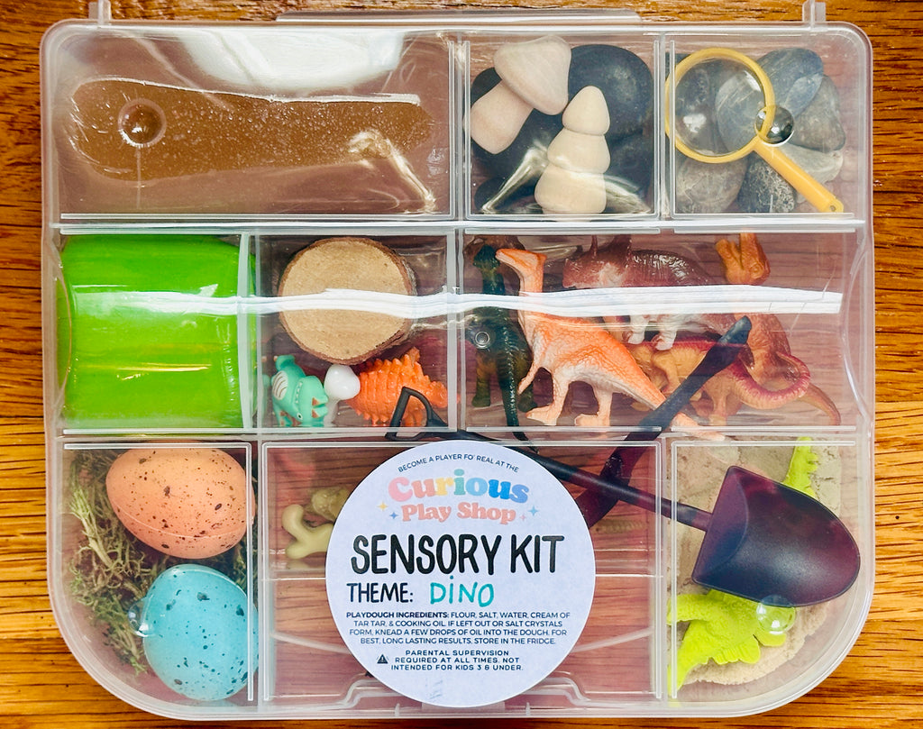 Dinosaur Playdough Sensory Kit