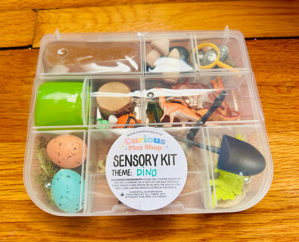 Dinosaur Playdough Sensory Kit