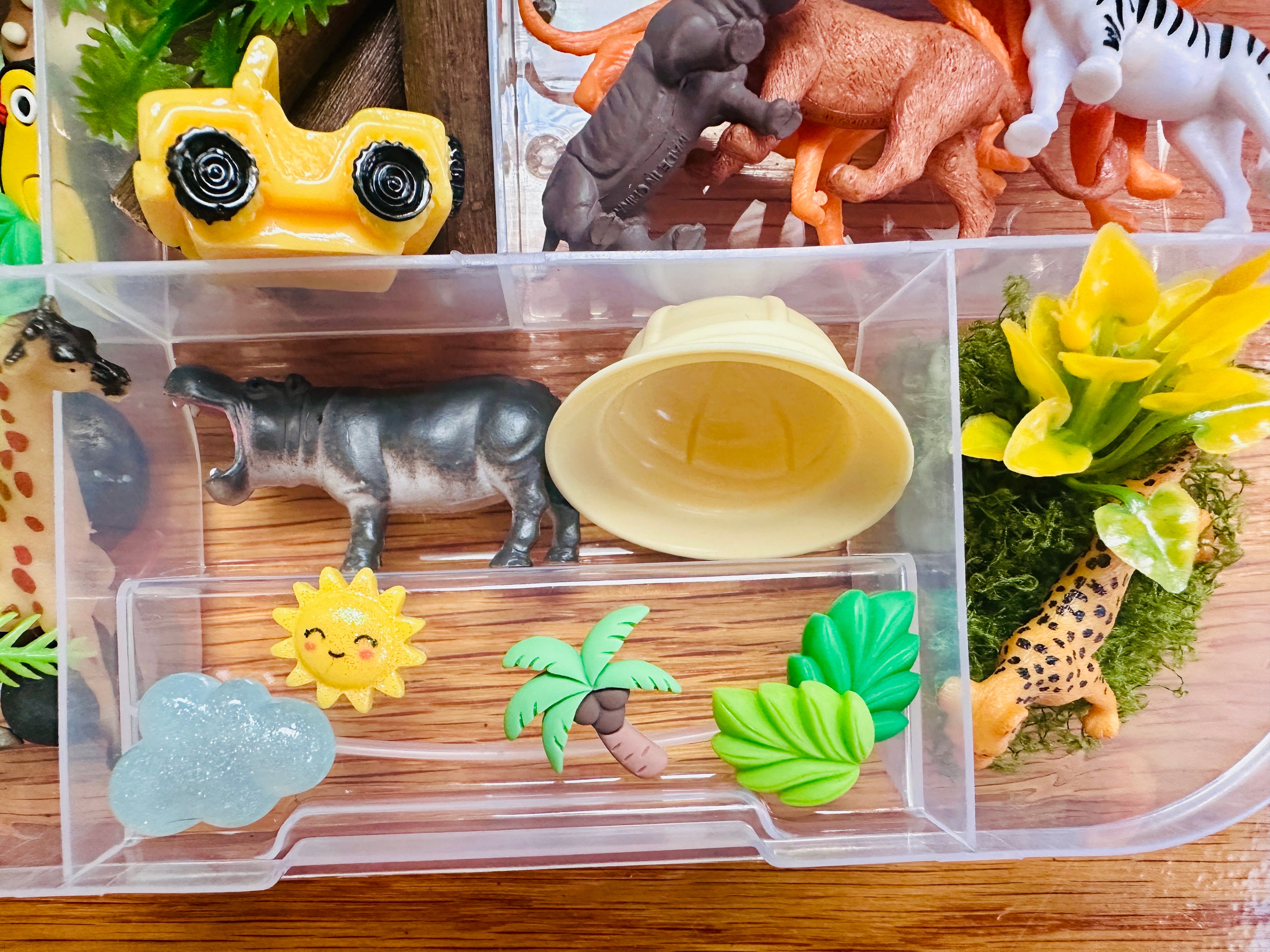 Jungle Safari Playdough Sensory Kit