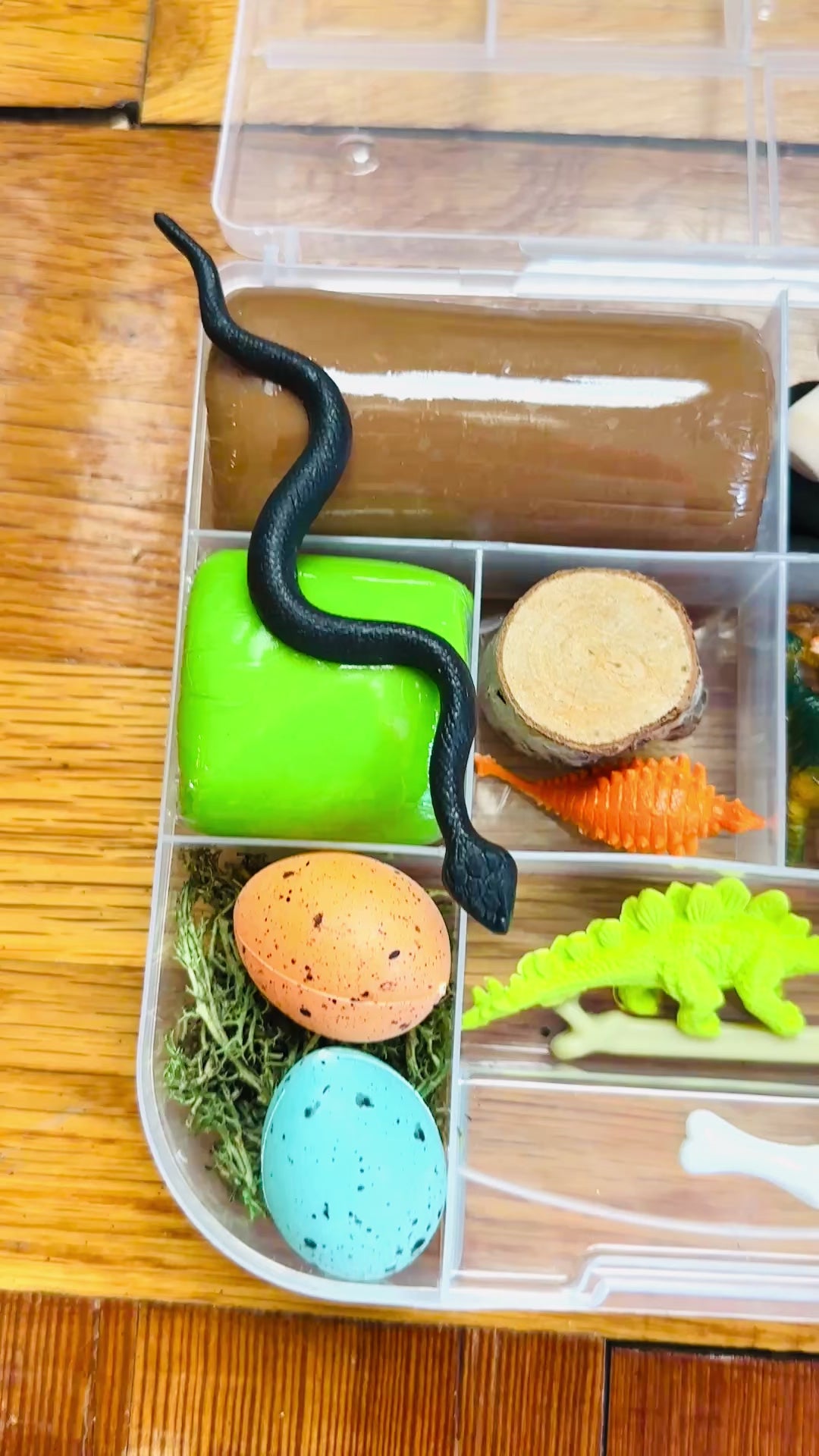 Dinosaur Playdough Sensory Kit