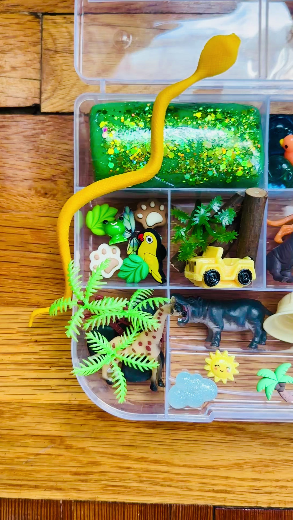 Jungle Safari Playdough Sensory Kit