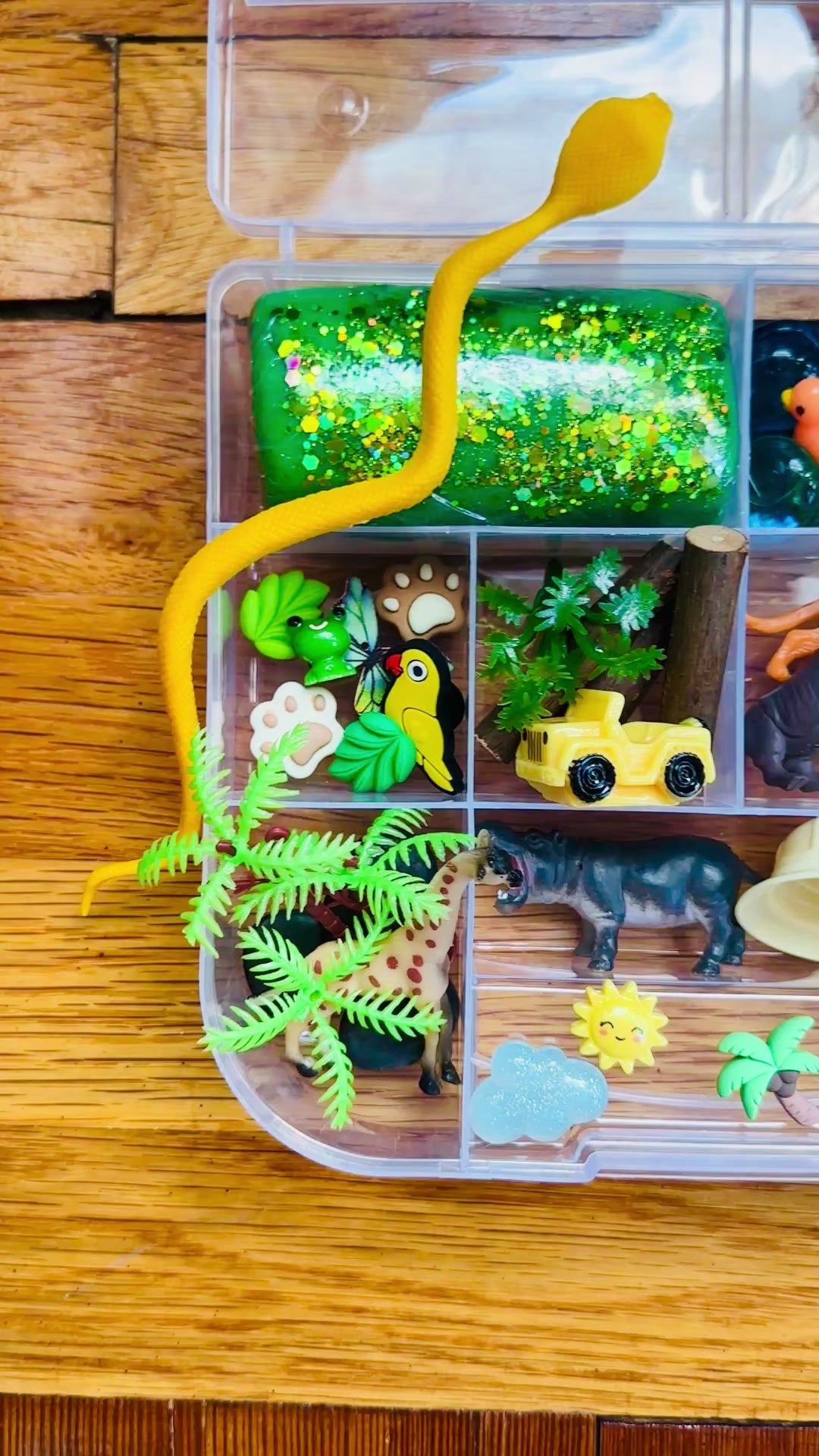 Jungle Safari Playdough Sensory Kit